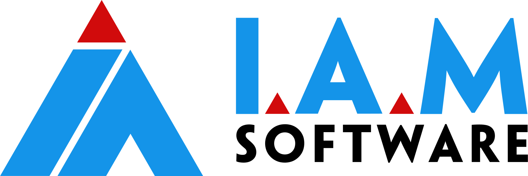 IAM Logo